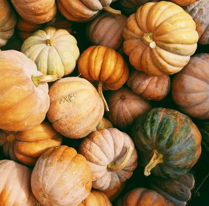 pumpkins-for-pumpkin-salsa